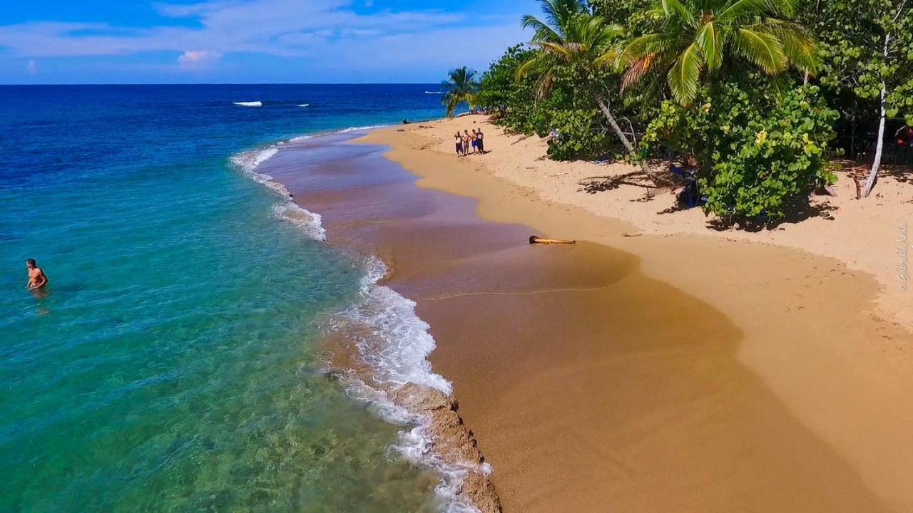 Hotel Casa Merlin Puerto Viejo de Talamanca Екстер'єр фото